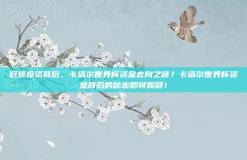 巨额投资背后，卡塔尔世界杯资金去向之谜？卡塔尔世界杯资金背后的秘密即将揭晓！