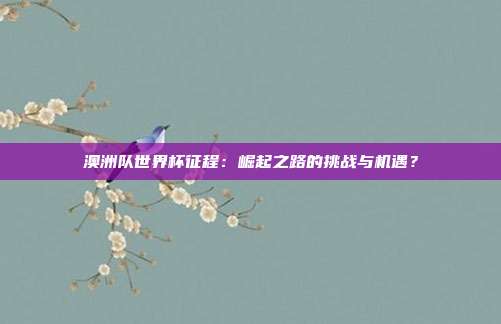 澳洲队世界杯征程：崛起之路的挑战与机遇？