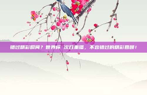 错过精彩瞬间？世界杯 次日重播，不容错过的精彩回顾！