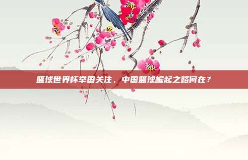 篮球世界杯举国关注，中国篮球崛起之路何在？