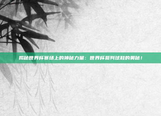 揭秘世界杯赛场上的神秘力量：世界杯裁判球鞋的奥秘！