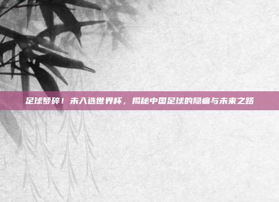 足球梦碎！未入选世界杯，揭秘中国足球的隐痛与未来之路