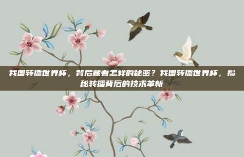 我国转播世界杯，背后藏着怎样的秘密？我国转播世界杯，揭秘转播背后的技术革新