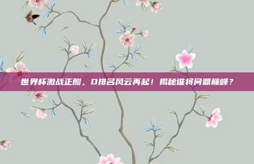 世界杯激战正酣，D排名风云再起！揭秘谁将问鼎巅峰？