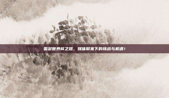 国足世界杯之路，媒体聚焦下的挑战与机遇！