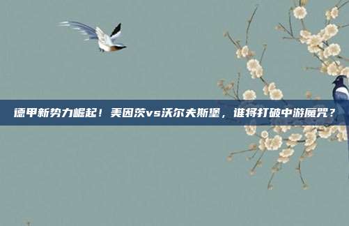 德甲新势力崛起！美因茨vs沃尔夫斯堡，谁将打破中游魔咒？