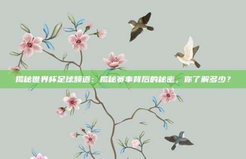 揭秘世界杯足球频道：揭秘赛事背后的秘密，你了解多少？
