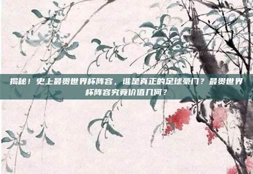 揭秘！史上最贵世界杯阵容，谁是真正的足球豪门？最贵世界杯阵容究竟价值几何？