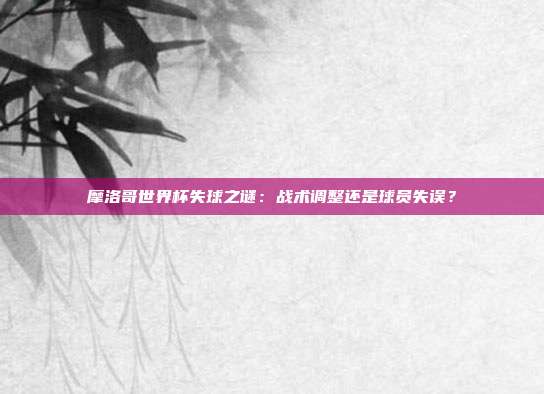 摩洛哥世界杯失球之谜：战术调整还是球员失误？