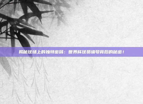 揭秘球场上的独特密码：世界杯球员编号背后的秘密！