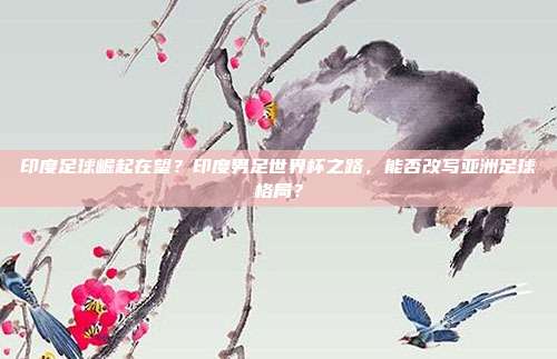 印度足球崛起在望？印度男足世界杯之路，能否改写亚洲足球格局？