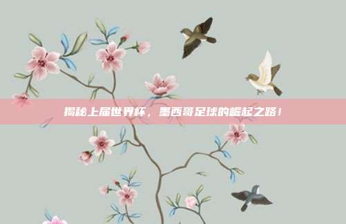 揭秘上届世界杯，墨西哥足球的崛起之路！