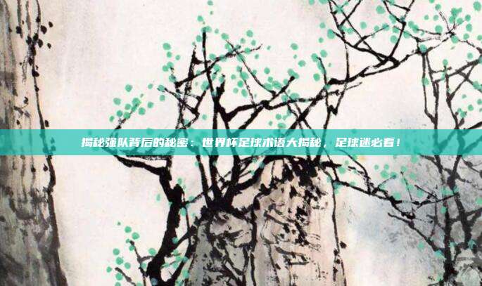 揭秘强队背后的秘密：世界杯足球术语大揭秘，足球迷必看！
