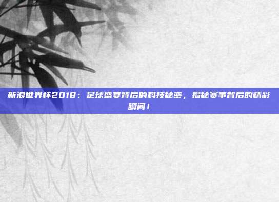 新浪世界杯2018：足球盛宴背后的科技秘密，揭秘赛事背后的精彩瞬间！