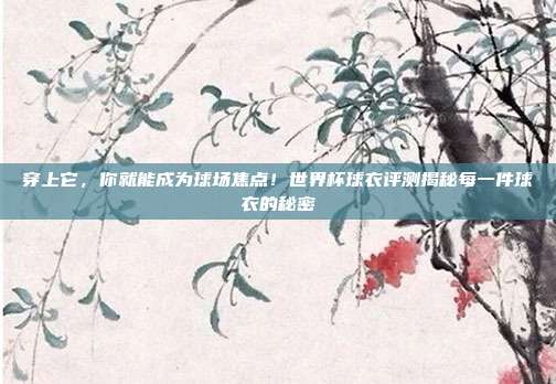 穿上它，你就能成为球场焦点！世界杯球衣评测揭秘每一件球衣的秘密