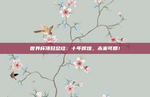 世界杯项目总结：十年辉煌，未来可期！