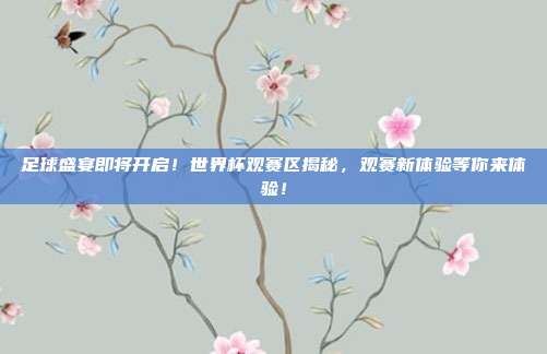 足球盛宴即将开启！世界杯观赛区揭秘，观赛新体验等你来体验！