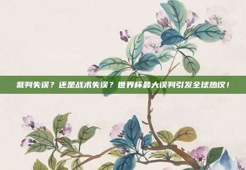 裁判失误？还是战术失误？世界杯最大误判引发全球热议！