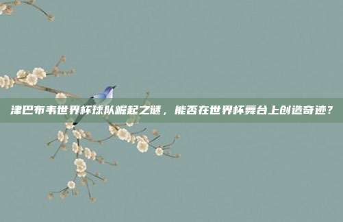 津巴布韦世界杯球队崛起之谜，能否在世界杯舞台上创造奇迹？