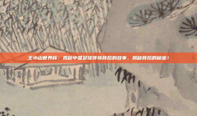 王小山世界杯：揭秘中国足球传奇背后的故事，揭秘背后的秘密！