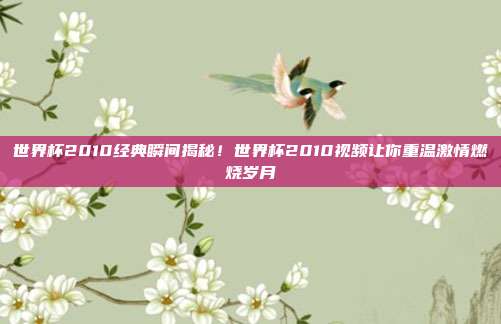 世界杯2010经典瞬间揭秘！世界杯2010视频让你重温激情燃烧岁月