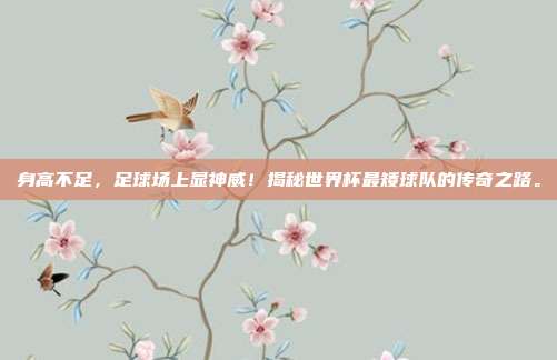身高不足，足球场上显神威！揭秘世界杯最矮球队的传奇之路。
