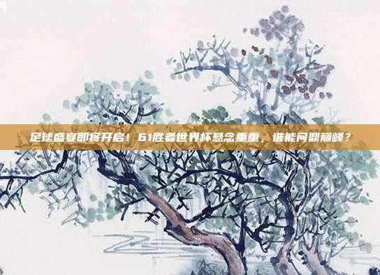 足球盛宴即将开启！61胜者世界杯悬念重重，谁能问鼎巅峰？
