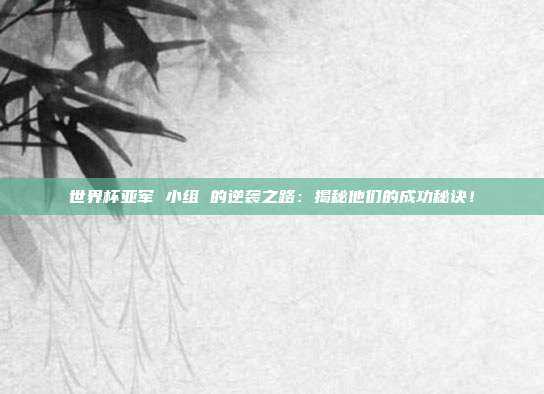 世界杯亚军 小组 的逆袭之路：揭秘他们的成功秘诀！