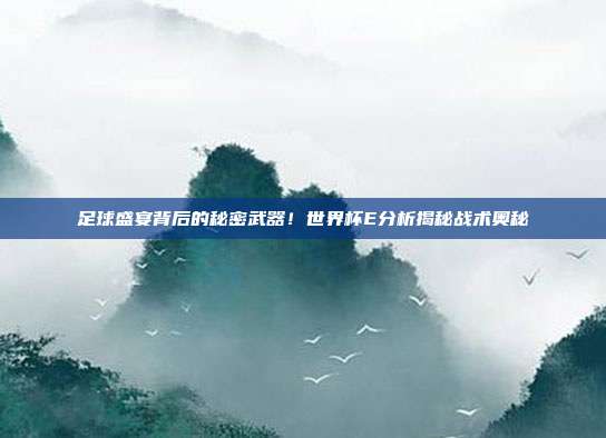 足球盛宴背后的秘密武器！世界杯E分析揭秘战术奥秘