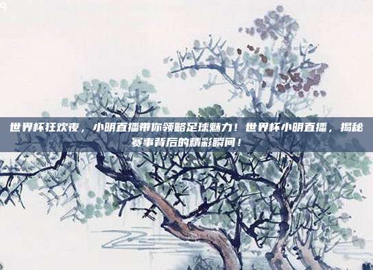 世界杯狂欢夜，小明直播带你领略足球魅力！世界杯小明直播，揭秘赛事背后的精彩瞬间！