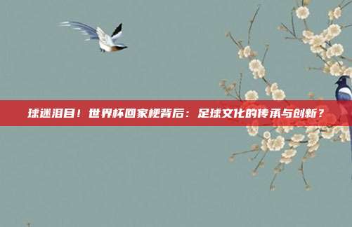 球迷泪目！世界杯回家梗背后：足球文化的传承与创新？