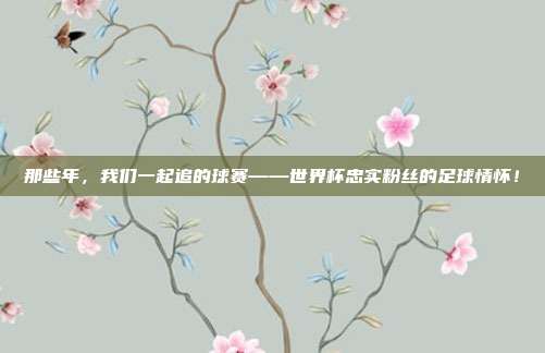 那些年，我们一起追的球赛——世界杯忠实粉丝的足球情怀！