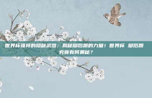 世界杯强将的隐秘武器：揭秘脚后跟的力量！世界杯 脚后跟 究竟有何奥秘？