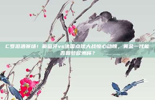 C罗泪洒赛场！葡萄牙vs法国点球大战惊心动魄，黄金一代能否圆梦欧洲杯？