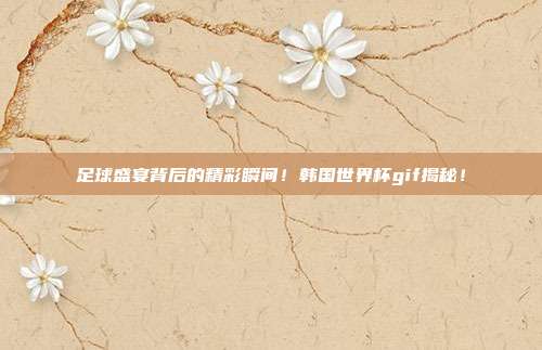 足球盛宴背后的精彩瞬间！韩国世界杯gif揭秘！
