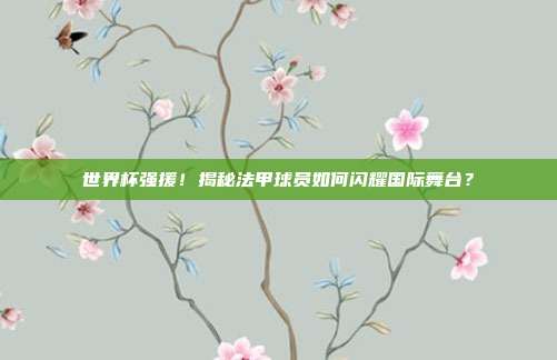 世界杯强援！揭秘法甲球员如何闪耀国际舞台？