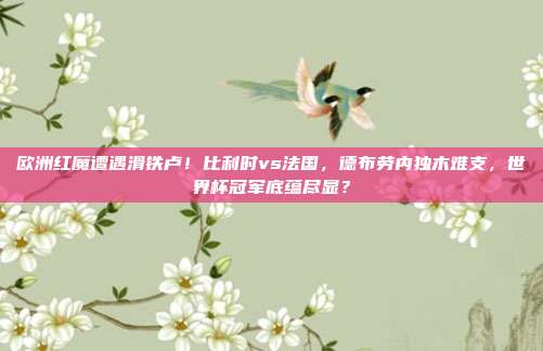 欧洲红魔遭遇滑铁卢！比利时vs法国，德布劳内独木难支，世界杯冠军底蕴尽显？
