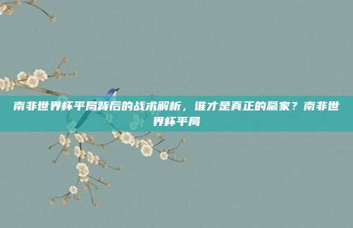 南非世界杯平局背后的战术解析，谁才是真正的赢家？南非世界杯平局