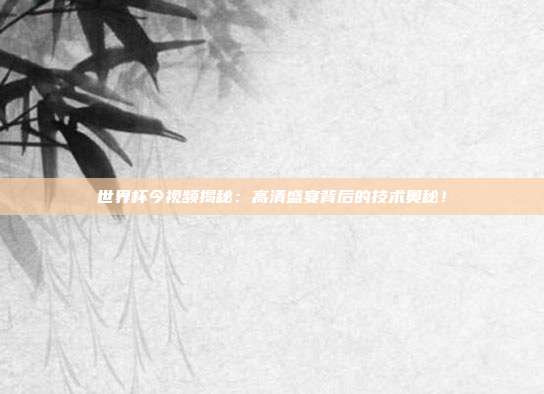 世界杯今视频揭秘：高清盛宴背后的技术奥秘！