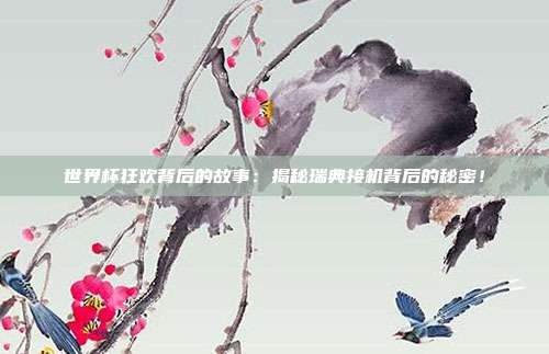 世界杯狂欢背后的故事：揭秘瑞典接机背后的秘密！