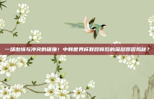 一场激情与冲突的碰撞！中韩世界杯群殴背后的深层原因揭秘？