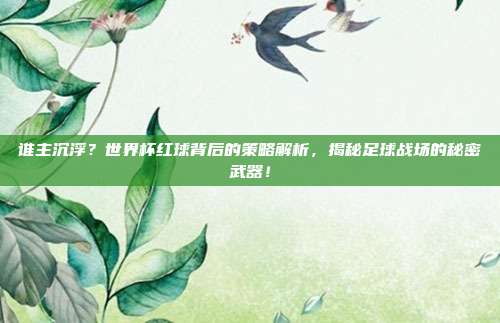 谁主沉浮？世界杯红球背后的策略解析，揭秘足球战场的秘密武器！