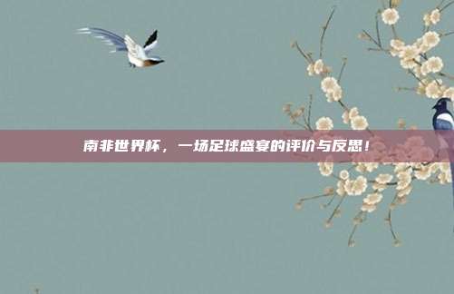 南非世界杯，一场足球盛宴的评价与反思！