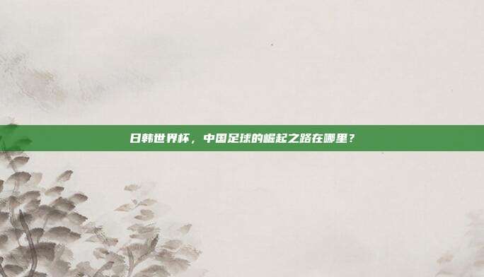 日韩世界杯，中国足球的崛起之路在哪里？