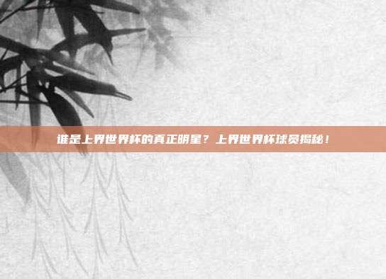 谁是上界世界杯的真正明星？上界世界杯球员揭秘！