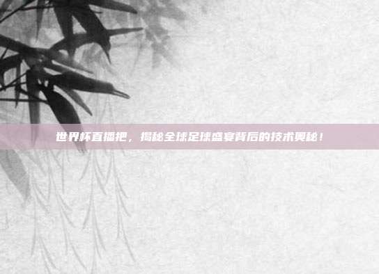 世界杯直播把，揭秘全球足球盛宴背后的技术奥秘！