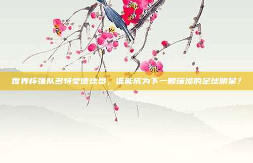 世界杯强队多特蒙德球员，谁能成为下一颗璀璨的足球明星？
