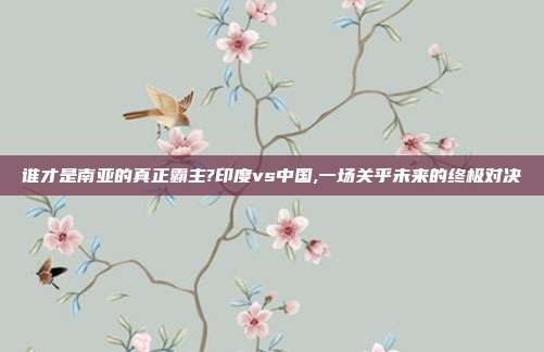 谁才是南亚的真正霸主?印度vs中国,一场关乎未来的终极对决