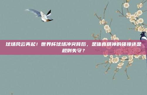 球场风云再起！世界杯球场冲突背后，是体育精神的碰撞还是规则失守？