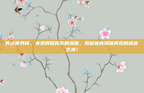 笑谈世界杯，央视调侃背后的深意，揭秘体育媒体背后的语言艺术！